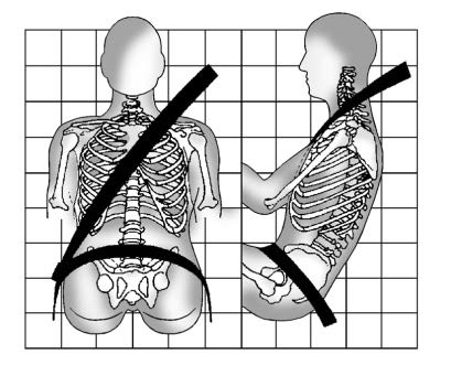 How to Wear Seat Belts Properly