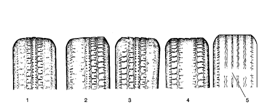 Fig. 3: Identifying Types Of Tire Wear